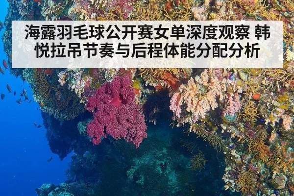 海露羽毛球公开赛女单深度观察 韩悦拉吊节奏与后程体能分配分析